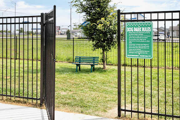 A sign in a park that says Dog Park Rules.