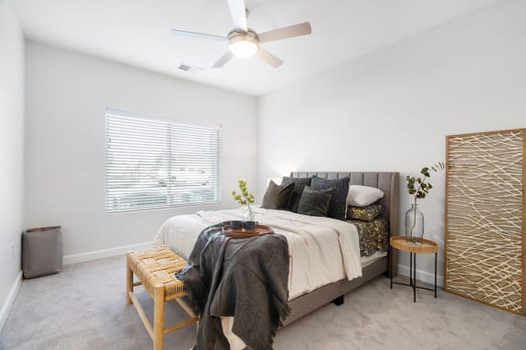 Plush carpeted bedrooms at Page Living at Pinnacle Hills in Rogers, AR
