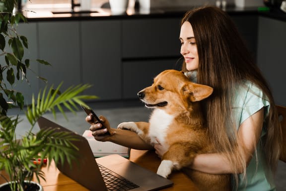 a woman sitting at a desk with a dog and a laptop