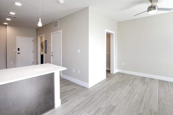 Wood-Style LVP Flooring at The Artisan at 39th in Omaha NE