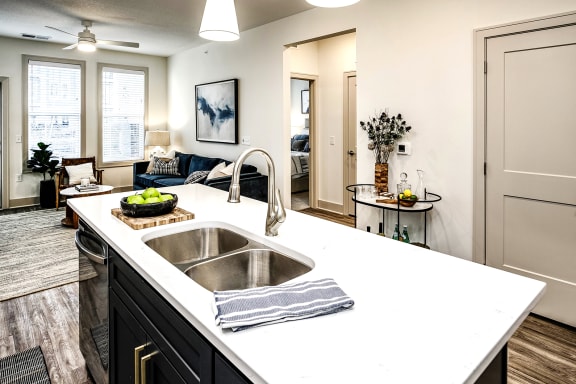 Granite Countertops at The Fireside at Waukee in Waukee, IA