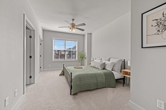 Plush carpeting at Hawthorne Row Townhomes in Bentonville, AR