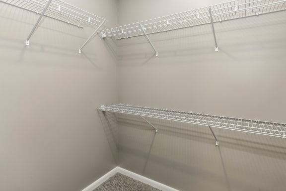 Walk-In Closets at The Apartments at Lux 96 in Papillion, NE