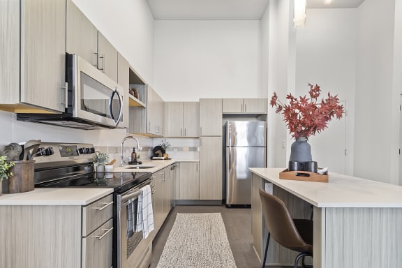 Stainless steel appliances at Pinnacle Heights in Rogers, AR