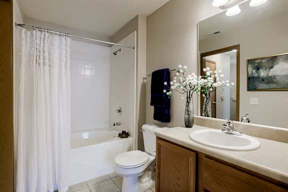 A white toilet sits next to a sink in a bathroom.