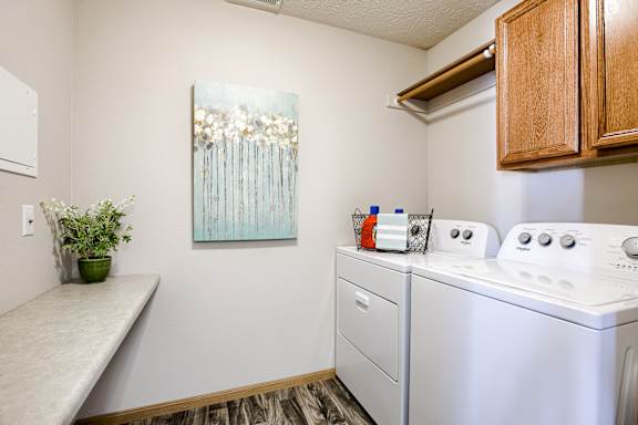 A laundry room with a washer and dryer, a potted plant, and a painting on the wall.