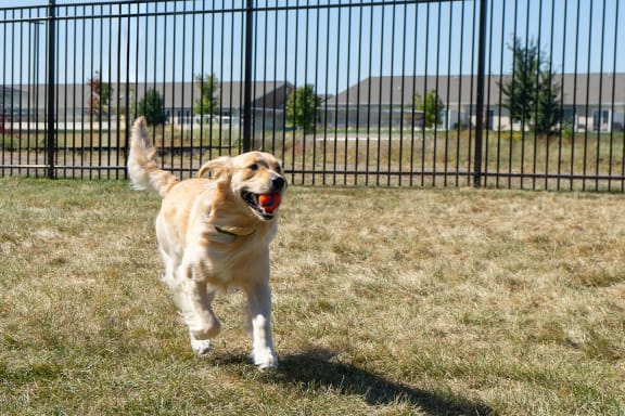 Dog Park at Sterling Prairie Trail North in Ankeny, IA