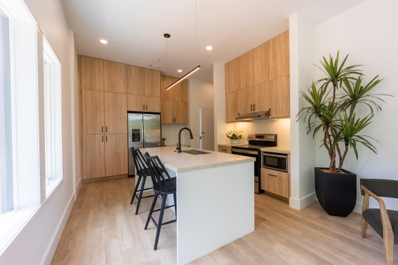 Stainless steel appliances at The Howard East Central in Bentonville, AR