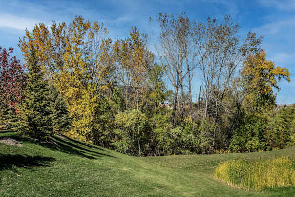 Lush Green Spaces at Vue 156 in Omaha, NE