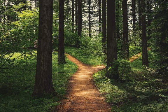Greenway trails at Red Barn Apartments and Townhomes in Bentonville, AR
