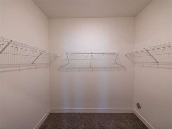 large walk in closet at One Deerfield Apartments, Mason
