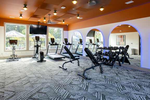 A gym with a variety of equipment including treadmills, stationary bikes, and weight machines.
