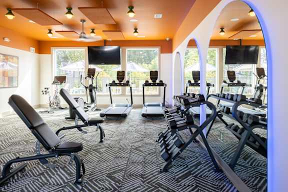 A gym with a variety of equipment including treadmills, stationary bikes, and weight machines.