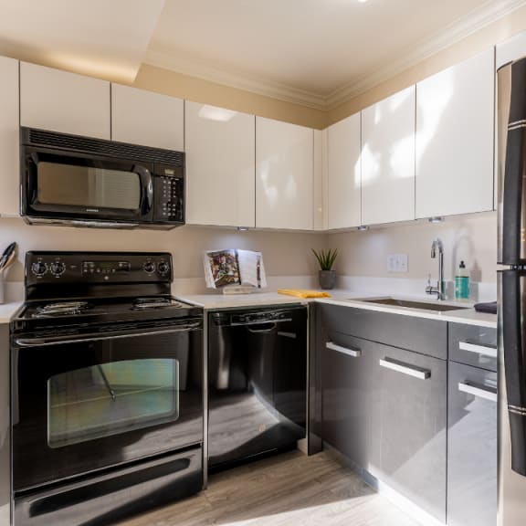 Gourmet kitchen | River Oaks West Apartments in Novi, MI