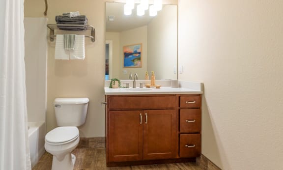 Bathroom at the Quarry Apartments in DeWitt Michigan