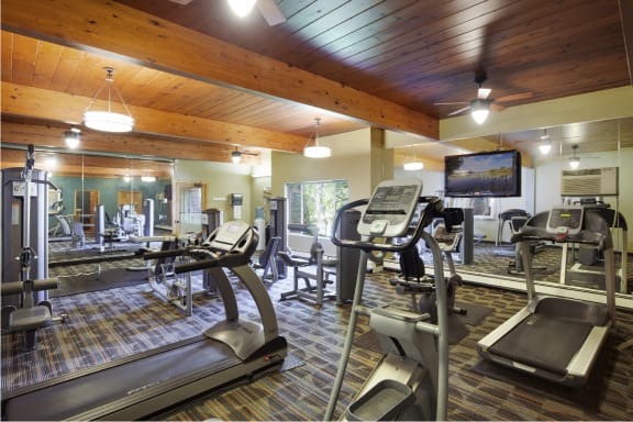 24-Hour Multi-Level Cardio And Weightlifting Center  at Beach South at the Lake, Minnesota