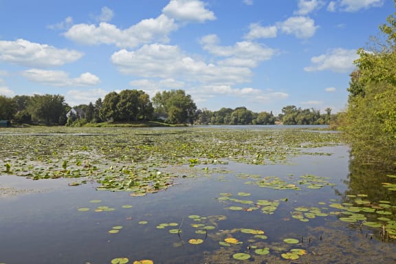 Breathtaking Lake-View at Beach South at the Lake, Robbinsdale, 55422