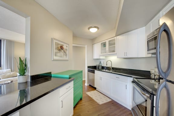 Galtier Towers Apartments in Lowertown, St. Paul, MN Kitchen Granite Countertops