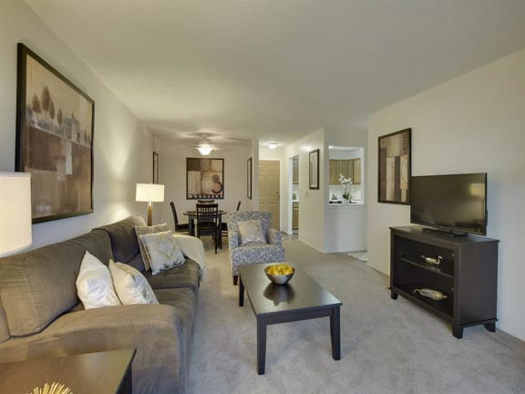 Willow Pond Apartments in Burnsville, MN Living Room