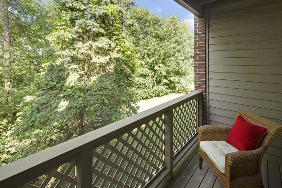 Regency Woods Apartments in Minnetonka, MN Private Balcony