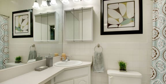Ridgewood Arches Apartments in Minneapolis, MN Bathroom