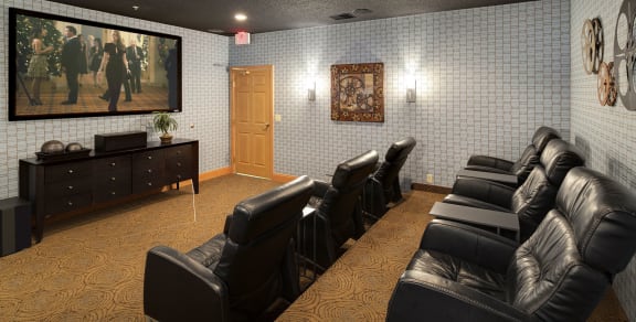 Movie Theatre at Shadow Hills, Plymouth, Minnesota