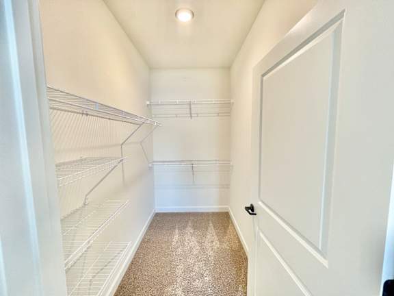 A white walk-in closet with shelves and a carpeted floor.at Concord Crossing, Lafayette, IN