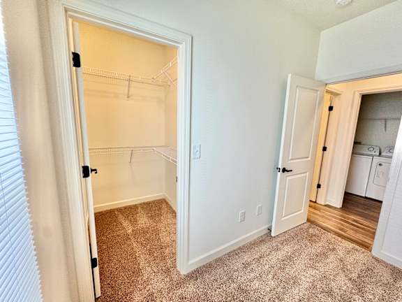 A white open closet with a carpeted floor.