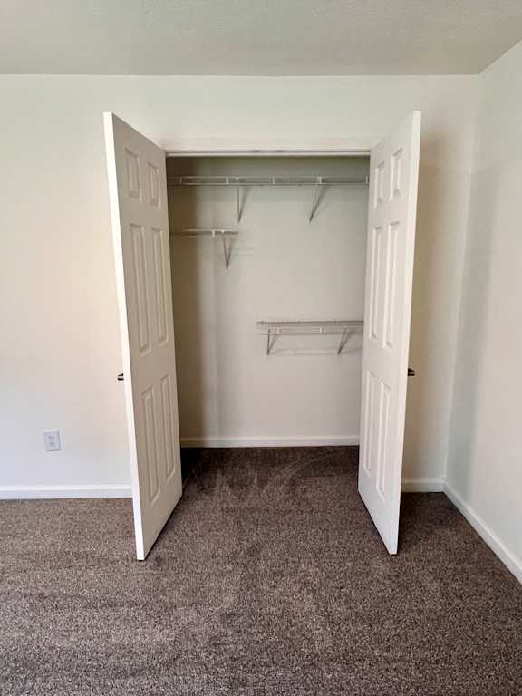 A white door is open to a room with a closet.