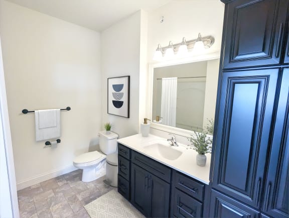 a bathroom with a toilet and a sink and a mirror