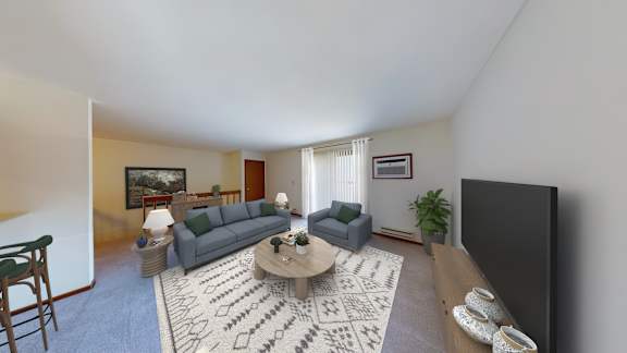 A living room with a grey couch, a coffee table, a flat screen TV, and a rug.