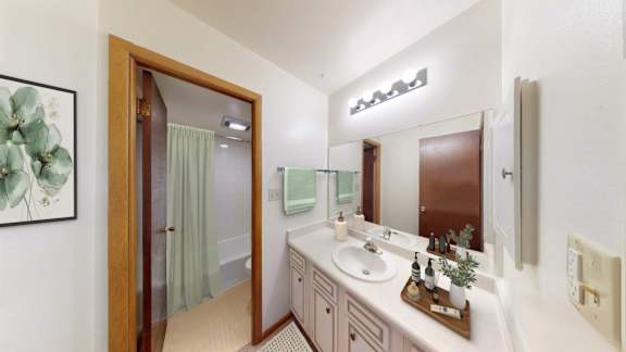 A bathroom with a sink, mirror, and a shower.