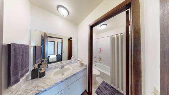 A bathroom with a marble countertop and a large mirror.