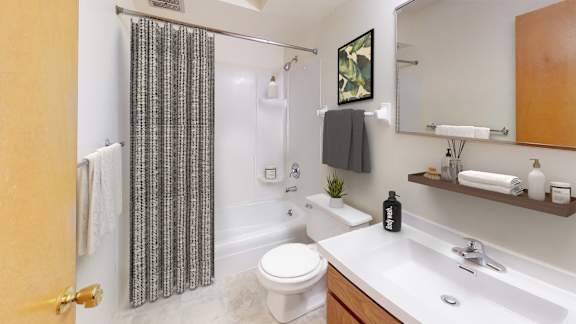 A bathroom with a toilet, sink, and shower curtain.