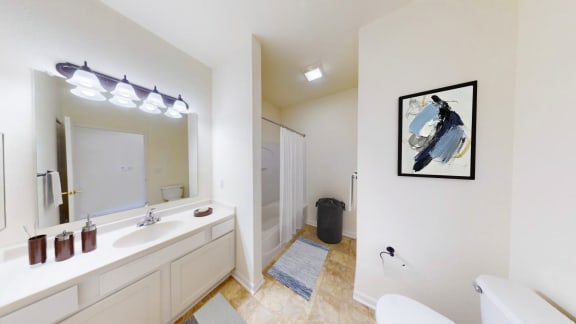 a bathroom with a sink and a mirror and a shower