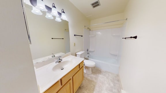 a bathroom with a sink and a toilet