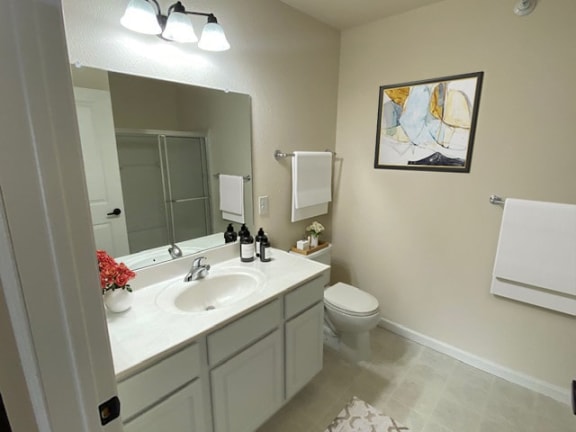 a bathroom with a sink and a toilet and a mirror