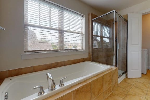 a bathroom with a bath tub and a shower