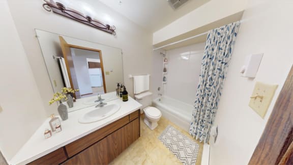 a bathroom with a sink and a shower and a toilet