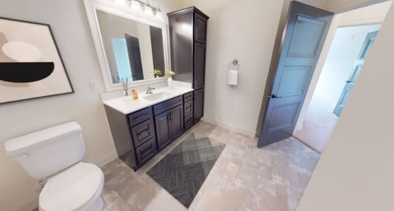 a bathroom with a toilet and a sink and a mirror