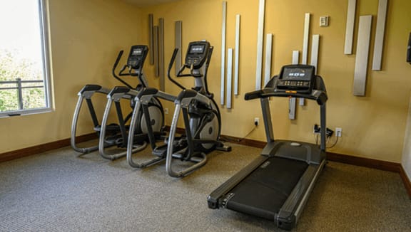 Exercise bikes in a fitness room  at Poplar Creek Apartments, Brookfield, 53045