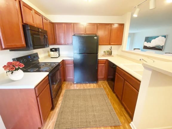a kitchen with a black refrigerator and a rug