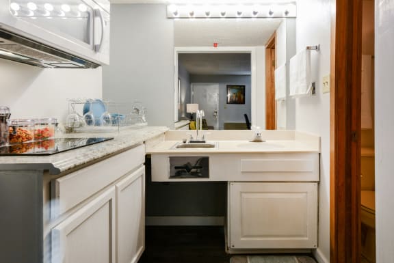 studio kitchen facing sink at Plato's Cave Apartments Branson, MO 65616