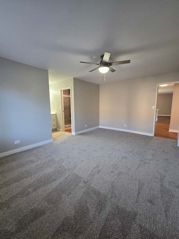 A staircase with a grey carpeted wall on the right side.