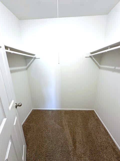 Walk-In Closet in Master Bedroom