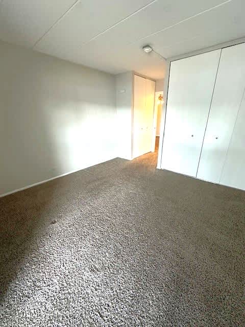 2 Closets in Large Bedroom