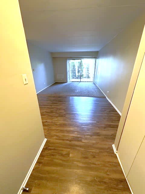 Fully Renovated 1-Bedroom Elm Apartment Home