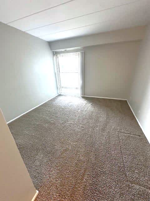 Spacious Bedroom