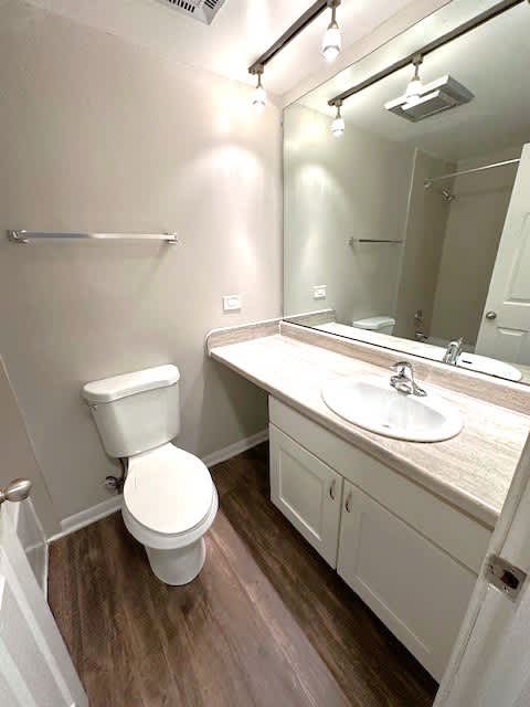 Wall to Wall Mirror in Full Bathroom