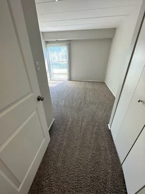 2 Closets in Large Bedroom